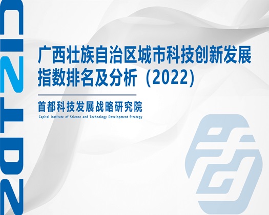 肏穴视频网站【成果发布】广西壮族自治区城市科技创新发展指数排名及分析（2022）